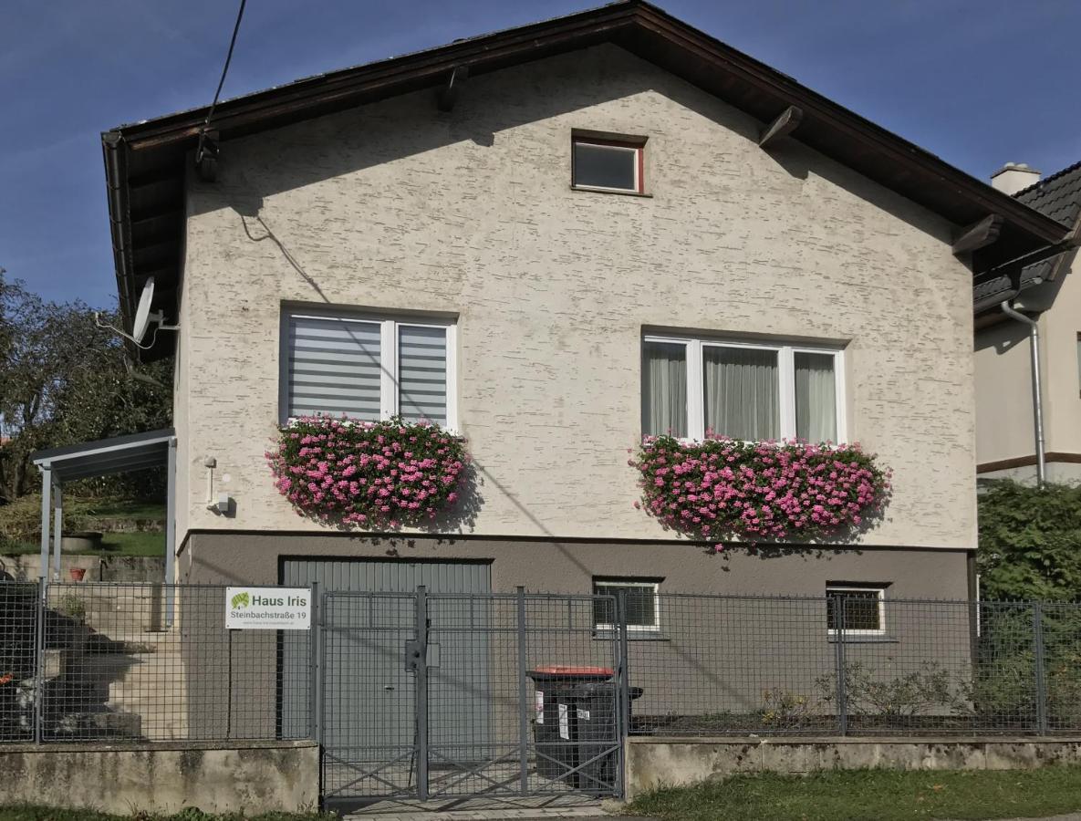 Haus-Iris-Mauerbach Villa Luaran gambar